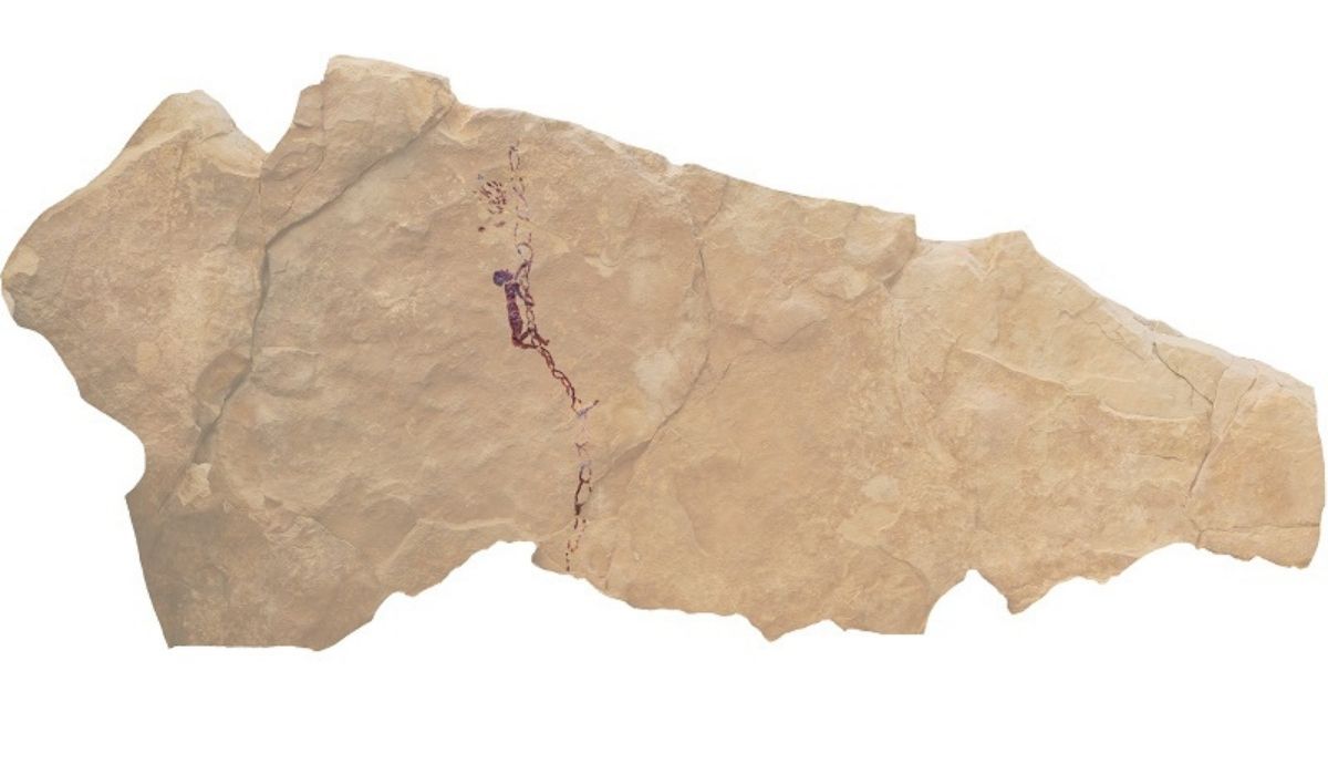 Imagen de la pintura rupestre hallada en el Barranco Gómez. Foto: Universitat de Barcelona.