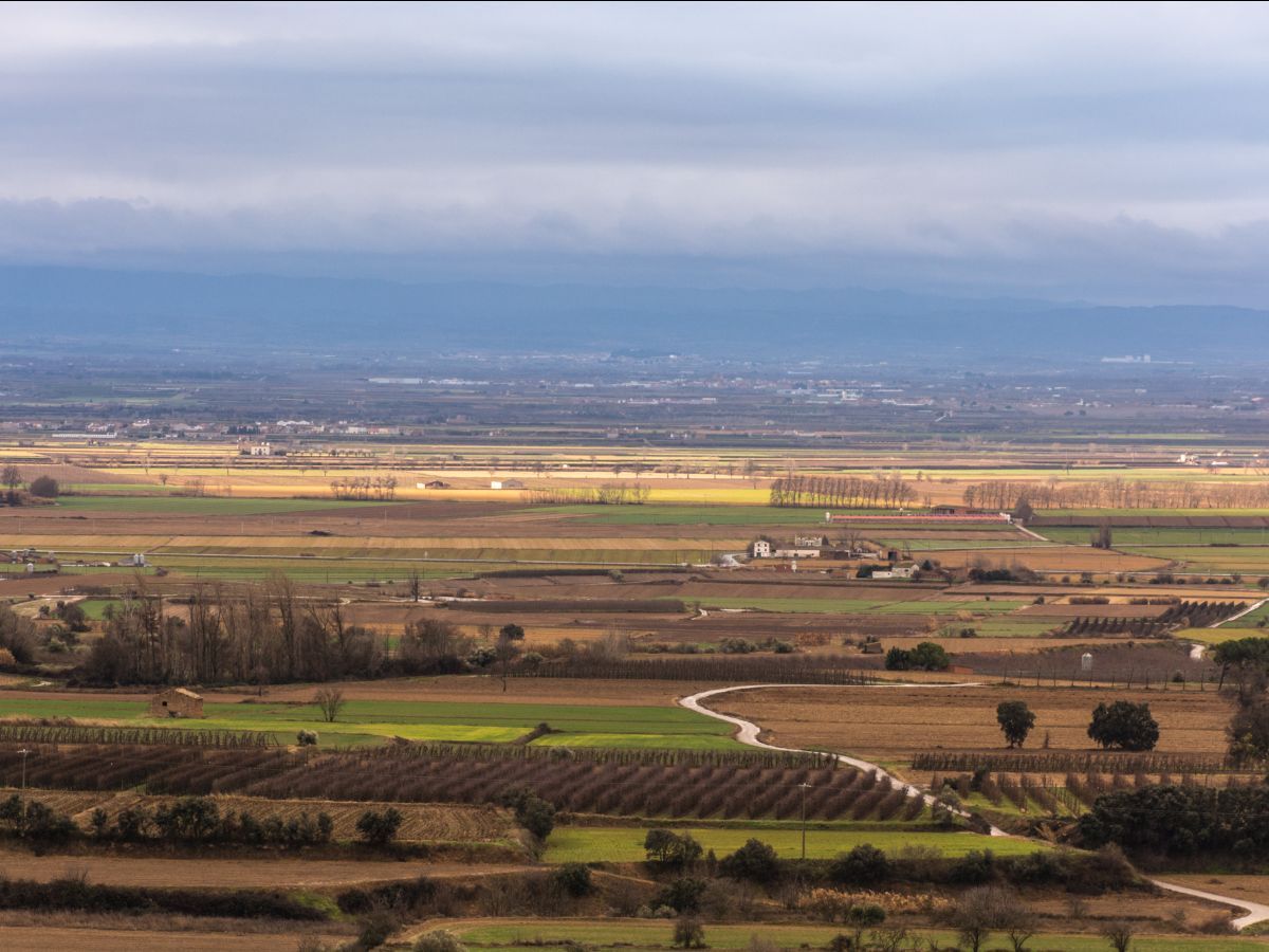 Imagen de la zona de Lleida objeto del estudio.