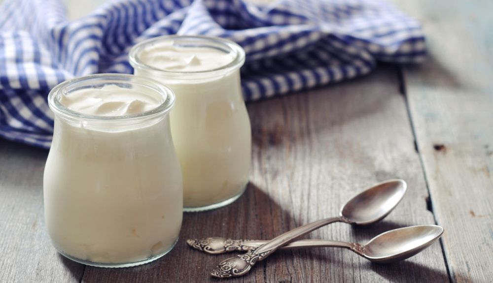 El yogur es esencial en una dieta blanda. El yogur es esencial en una dieta blanda.