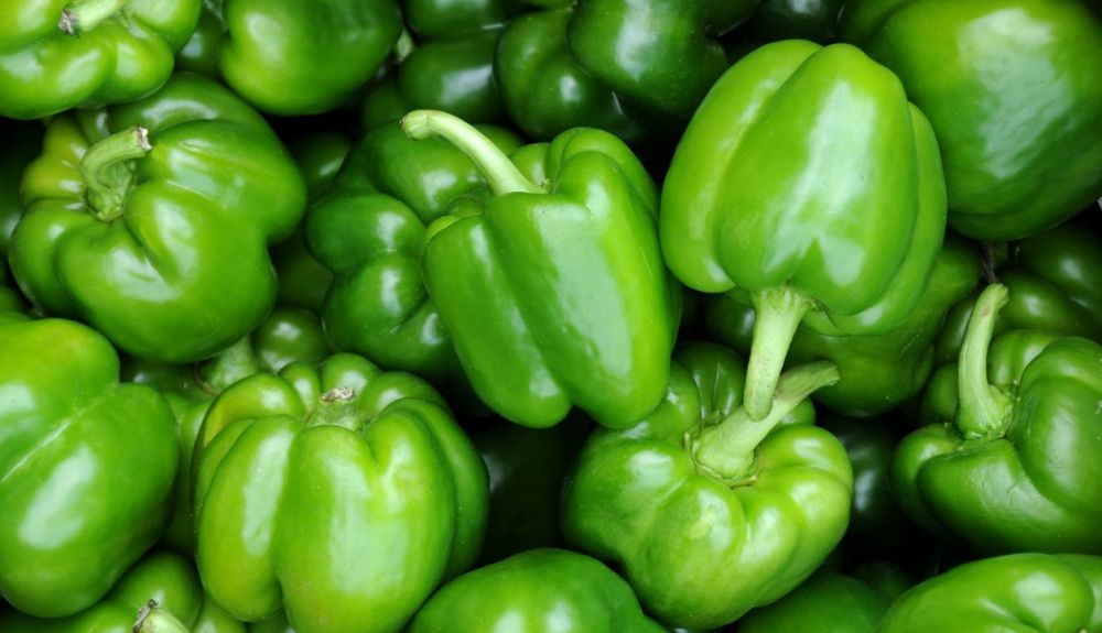 Los pimientos verdes son ricos en vitamina C.