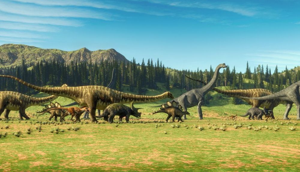 Gracias al Museo Americano de Historia Natural, repasamos los nombres de los dinosaurios más famosos. Gracias al Museo Americano de Historia Natural, repasamos los nombres de los dinosaurios más famosos.