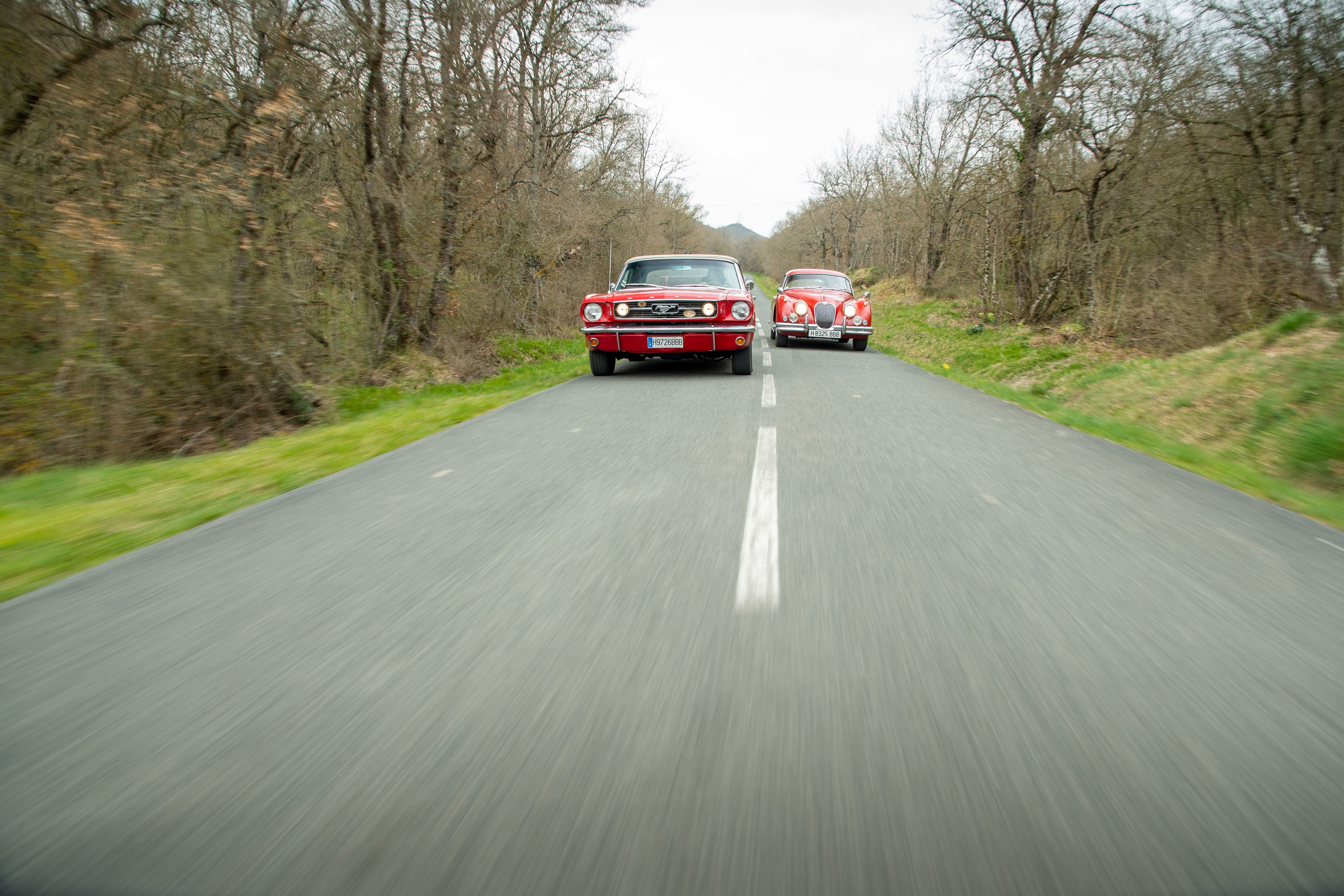 Ford Mustang Jaguar XK150
