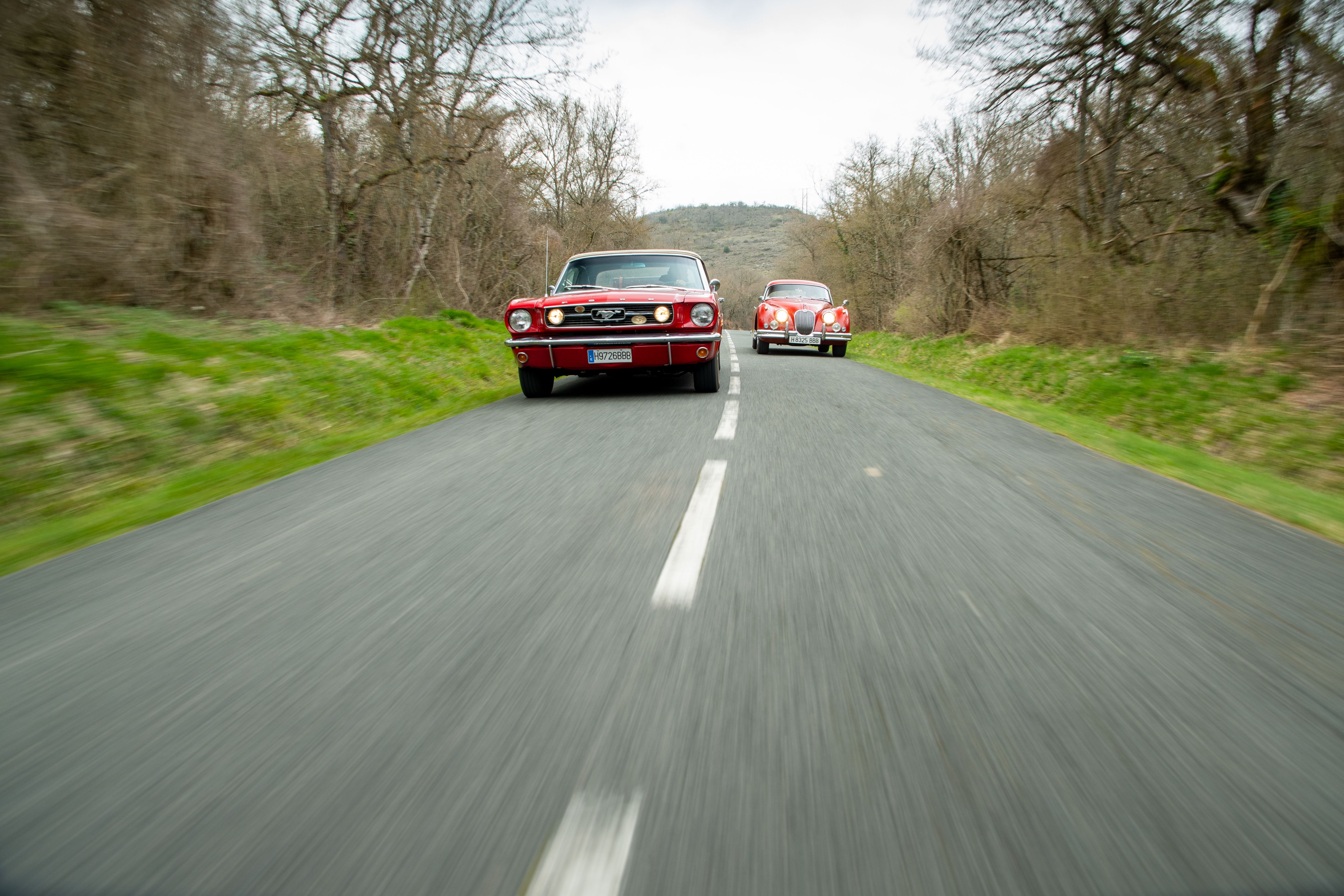 Ford Mustang Jaguar XK150