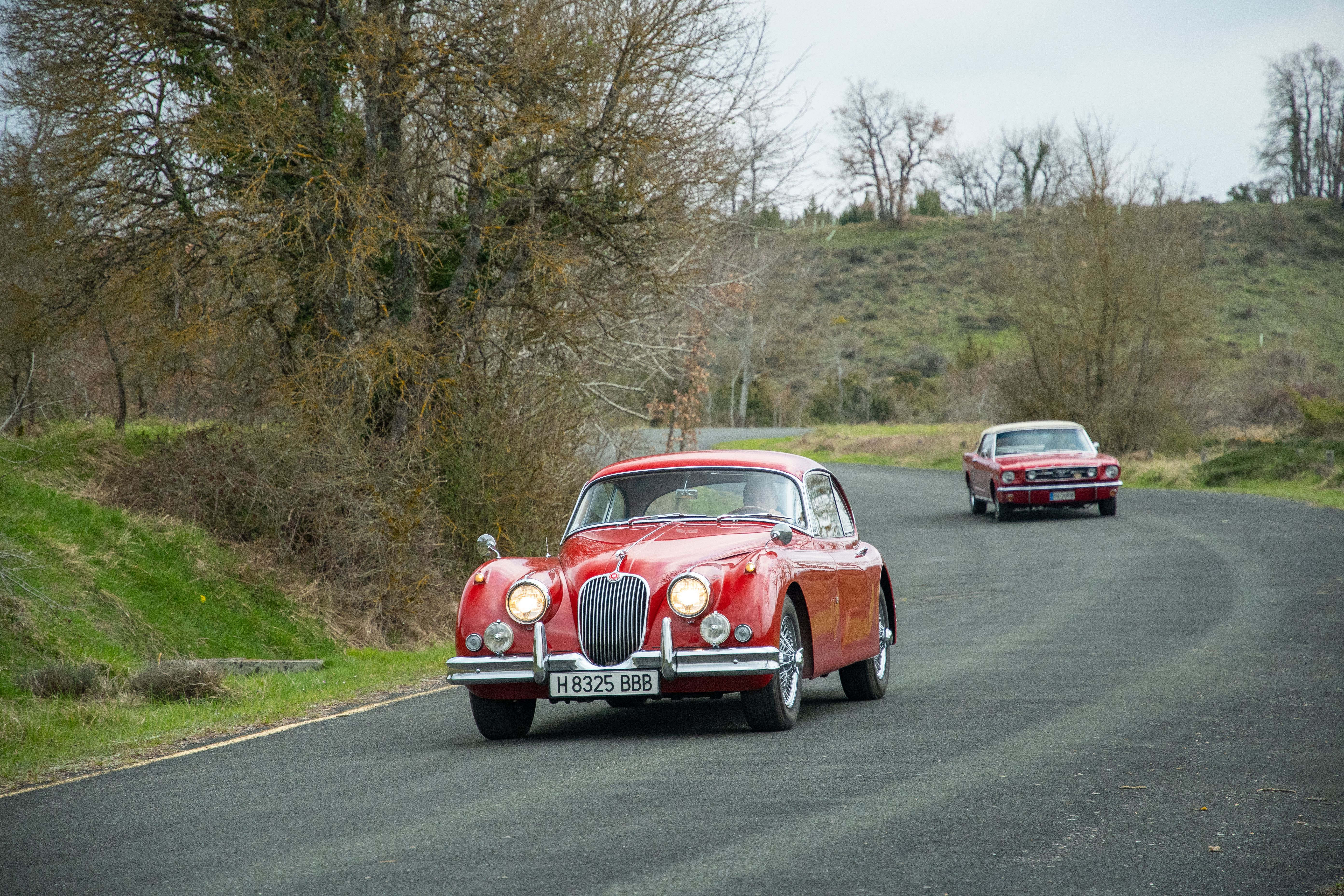 Ford Mustang Jaguar XK150