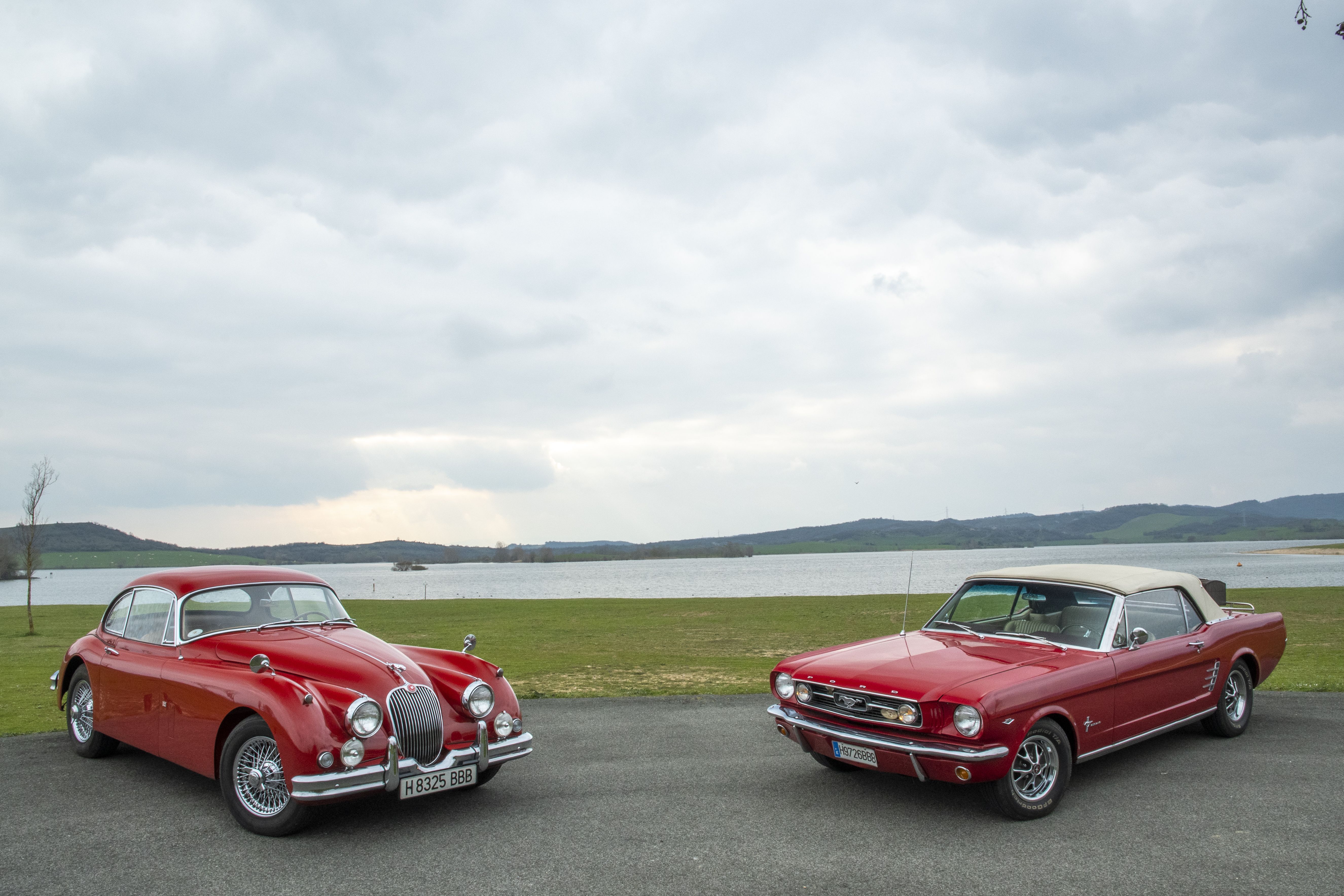 Ford Mustang Jaguar XK150