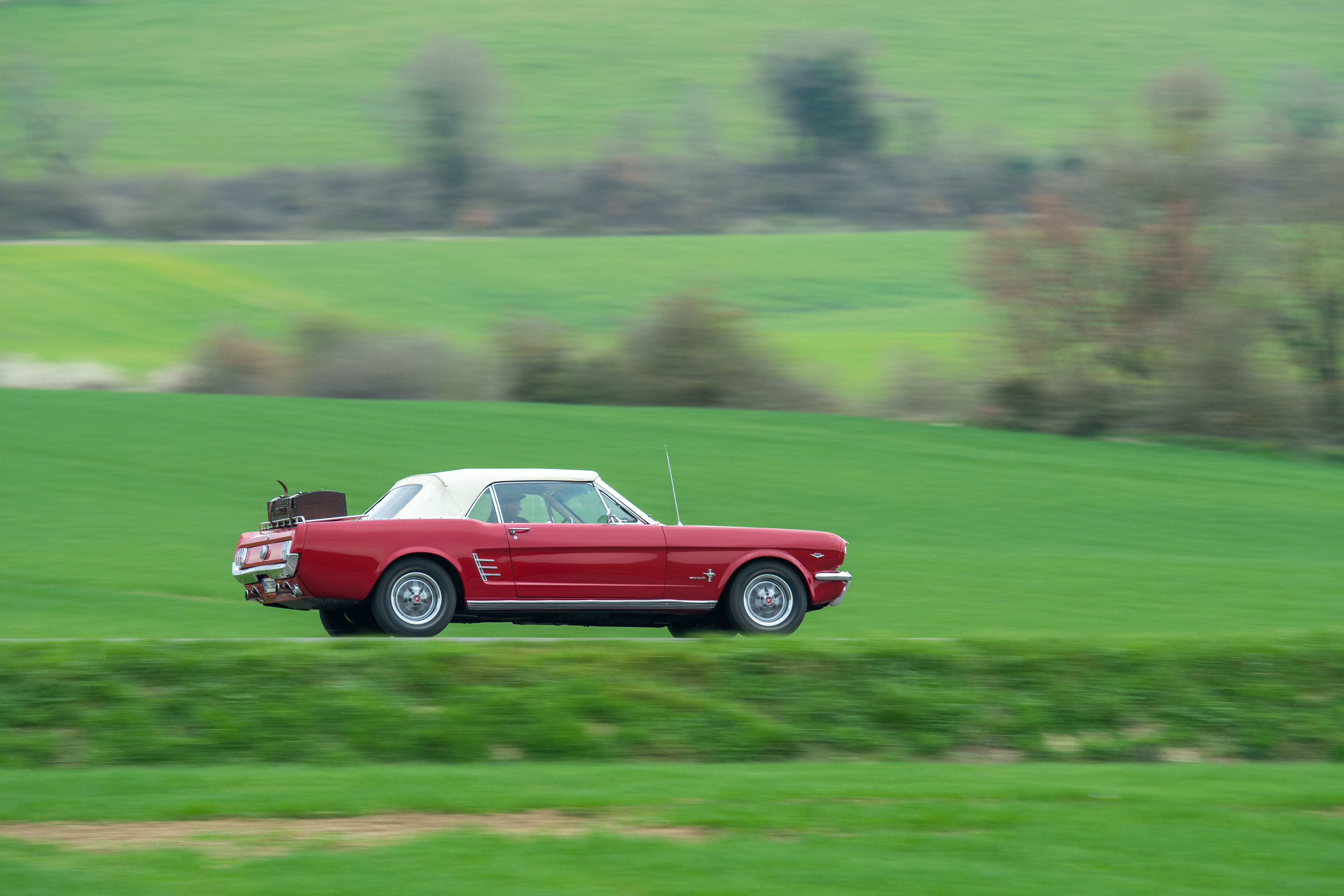 Ford Mustang Jaguar XK150