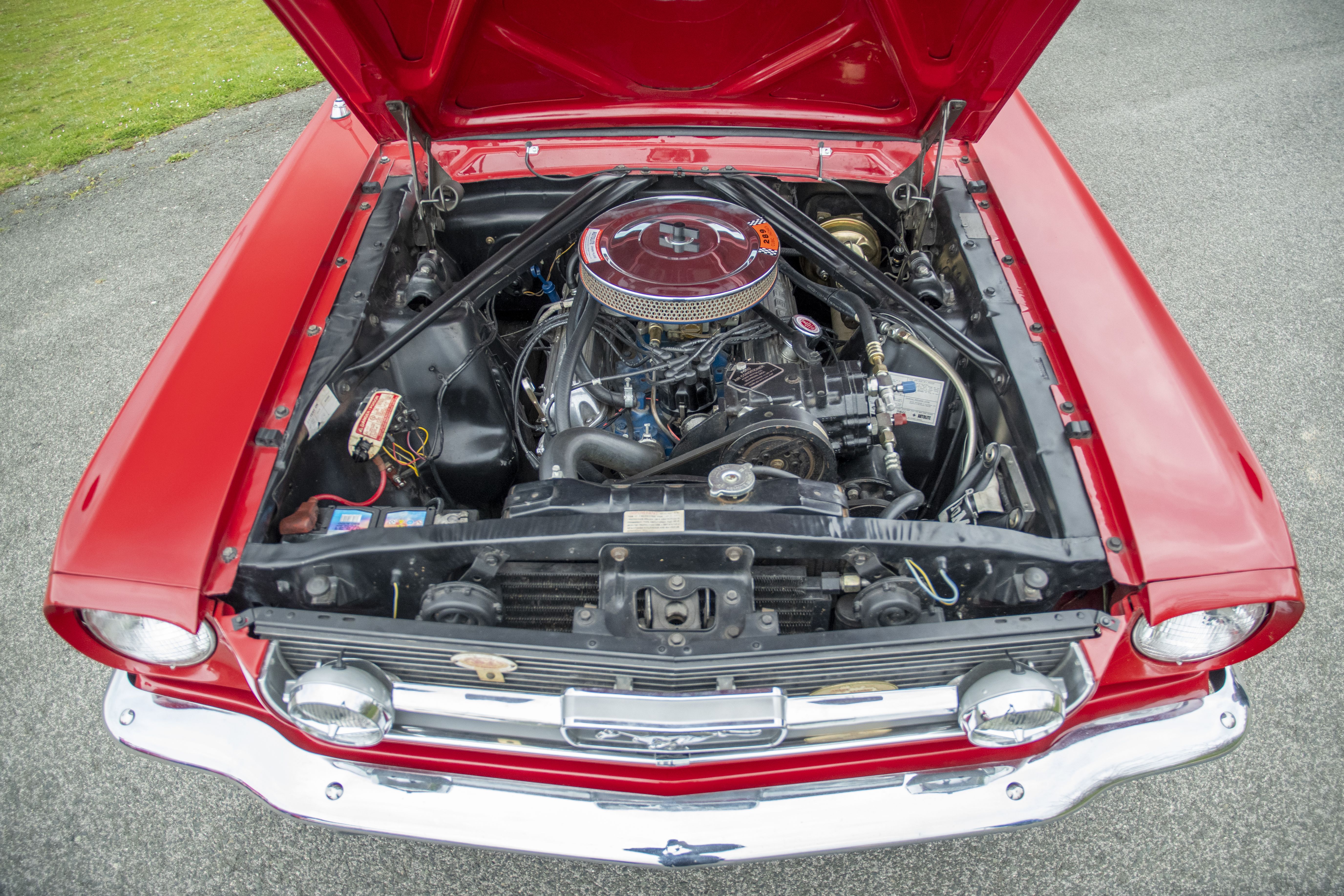 Ford Mustang Jaguar XK150