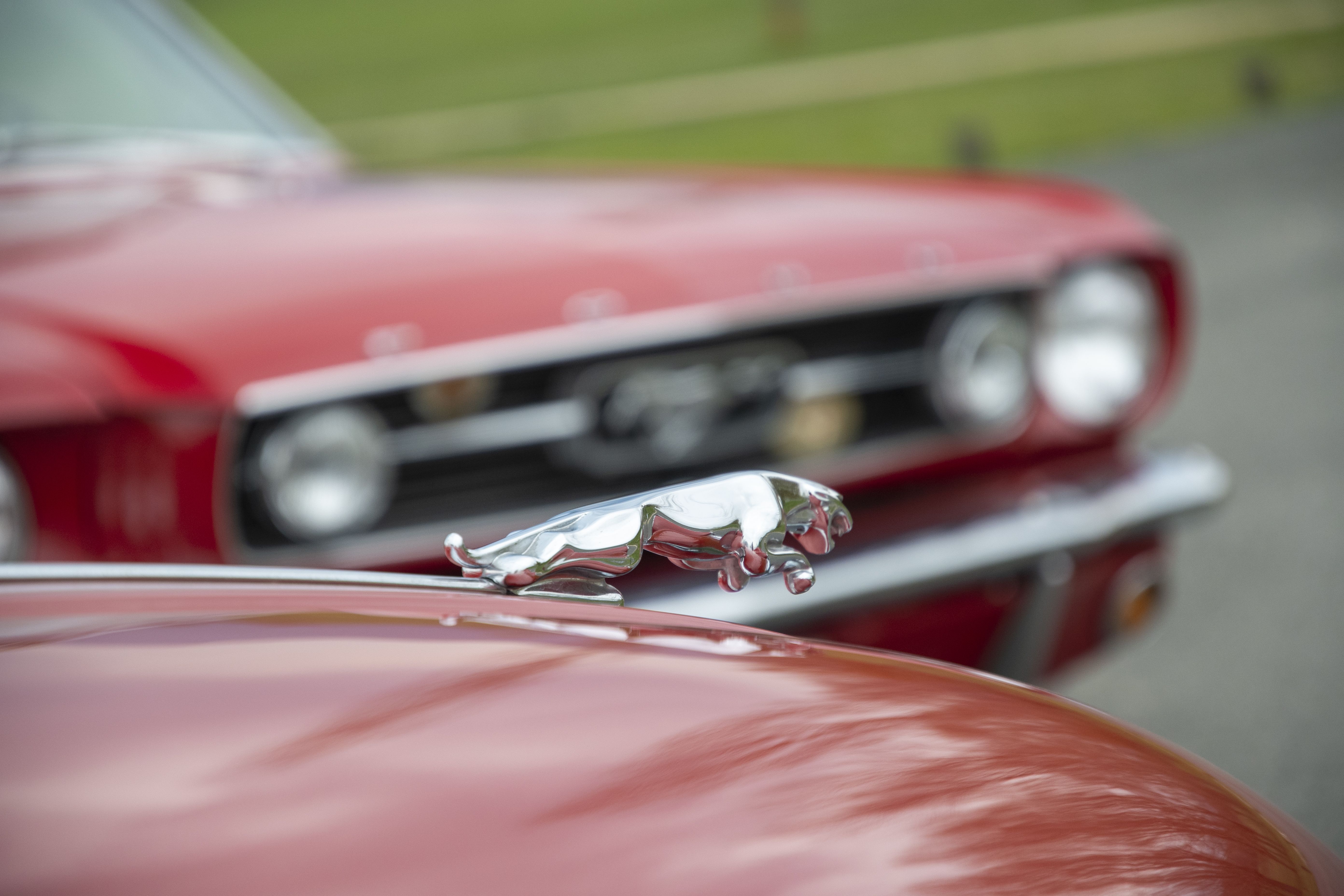 Ford Mustang Jaguar XK150