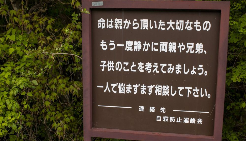 Cartel situado en el bosque de los suicidas. Cartel situado en el bosque de los suicidas.