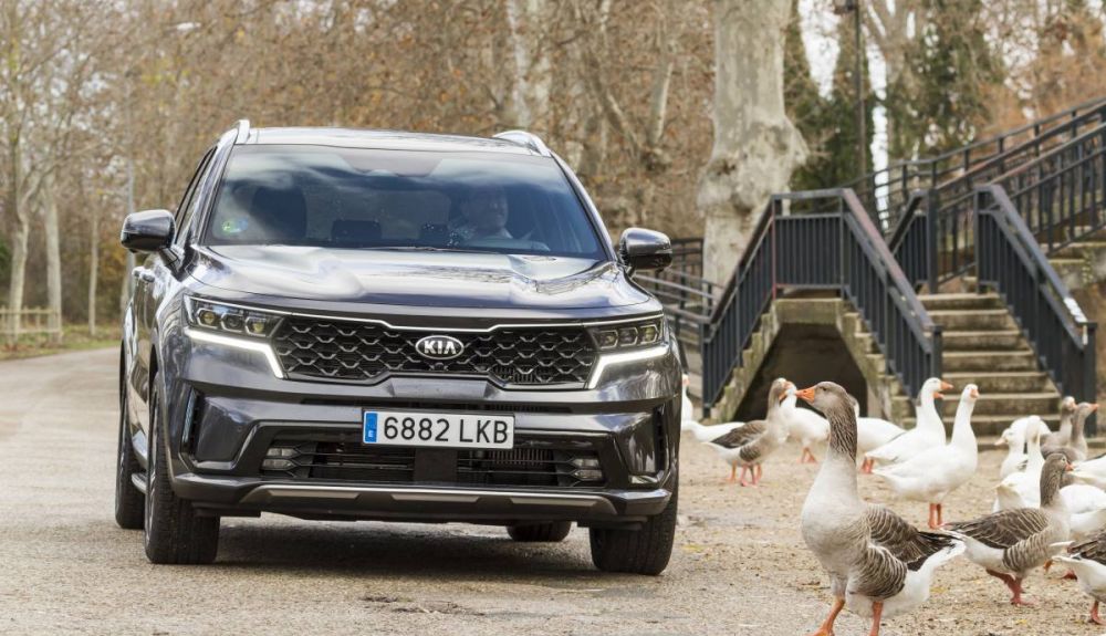 Kia Sorento 2021 HEV 2