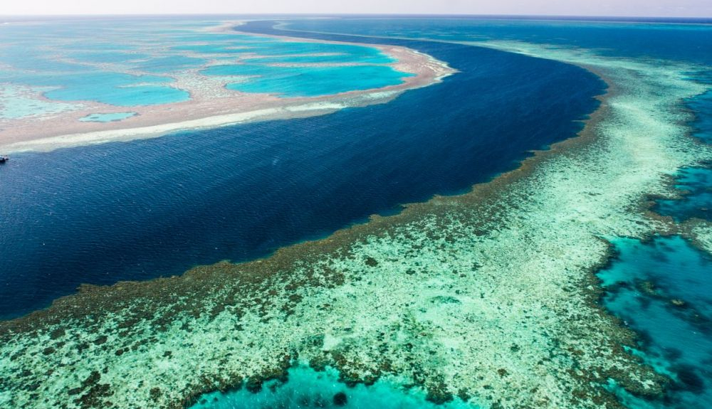 La Gran Barrera de Coral La Gran Barrera de Coral