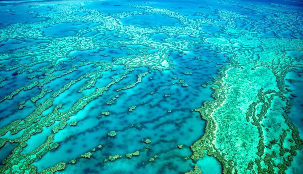 Vista aérea de la gran barrera de coral 