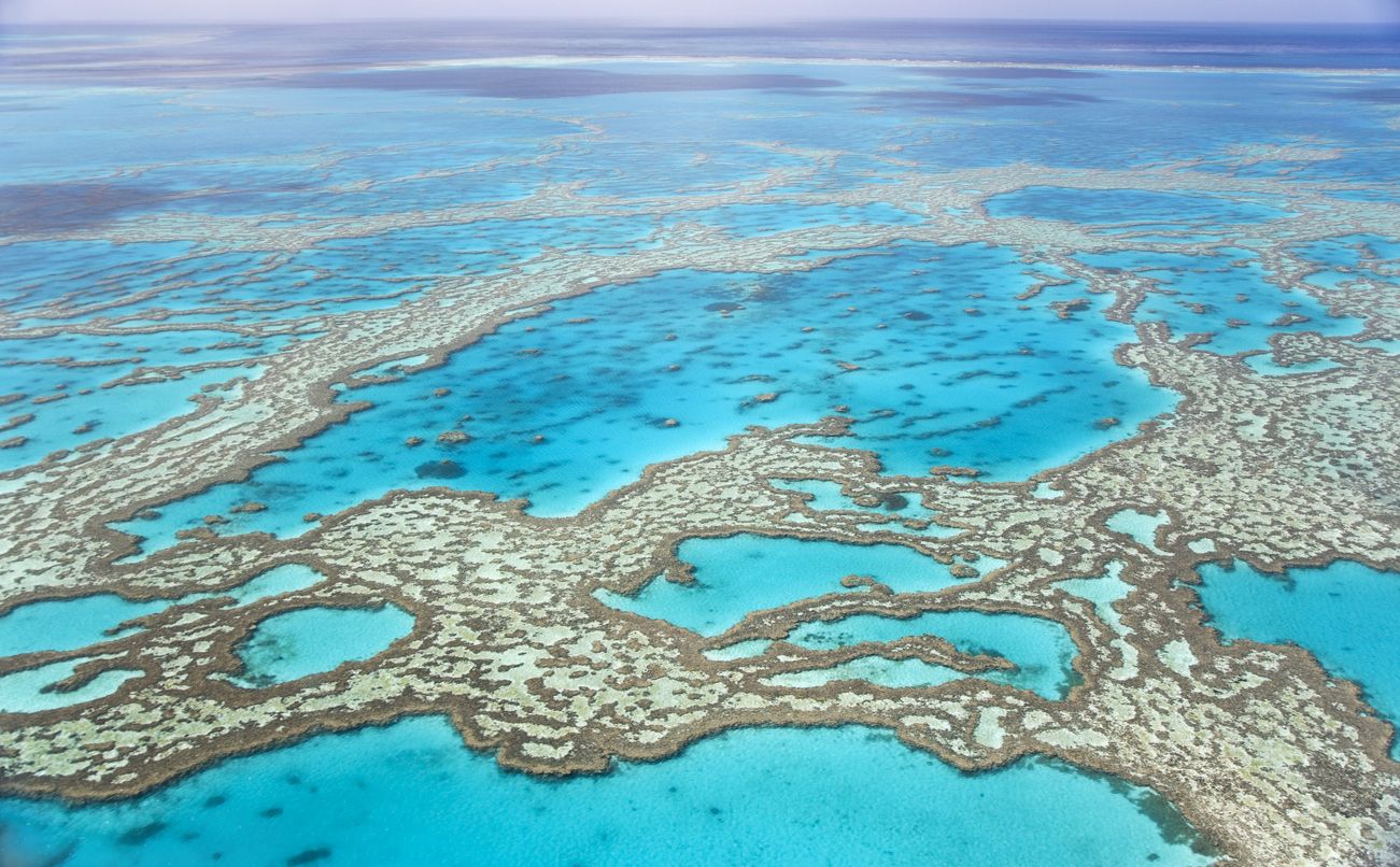 Varios países de la Unesco votaron en contra de declarar en peligro a la Gran Barrera de Coral. Foto: IStock.