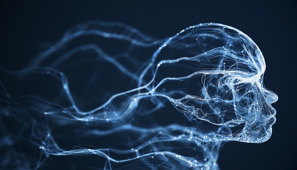 respuesta neuronal