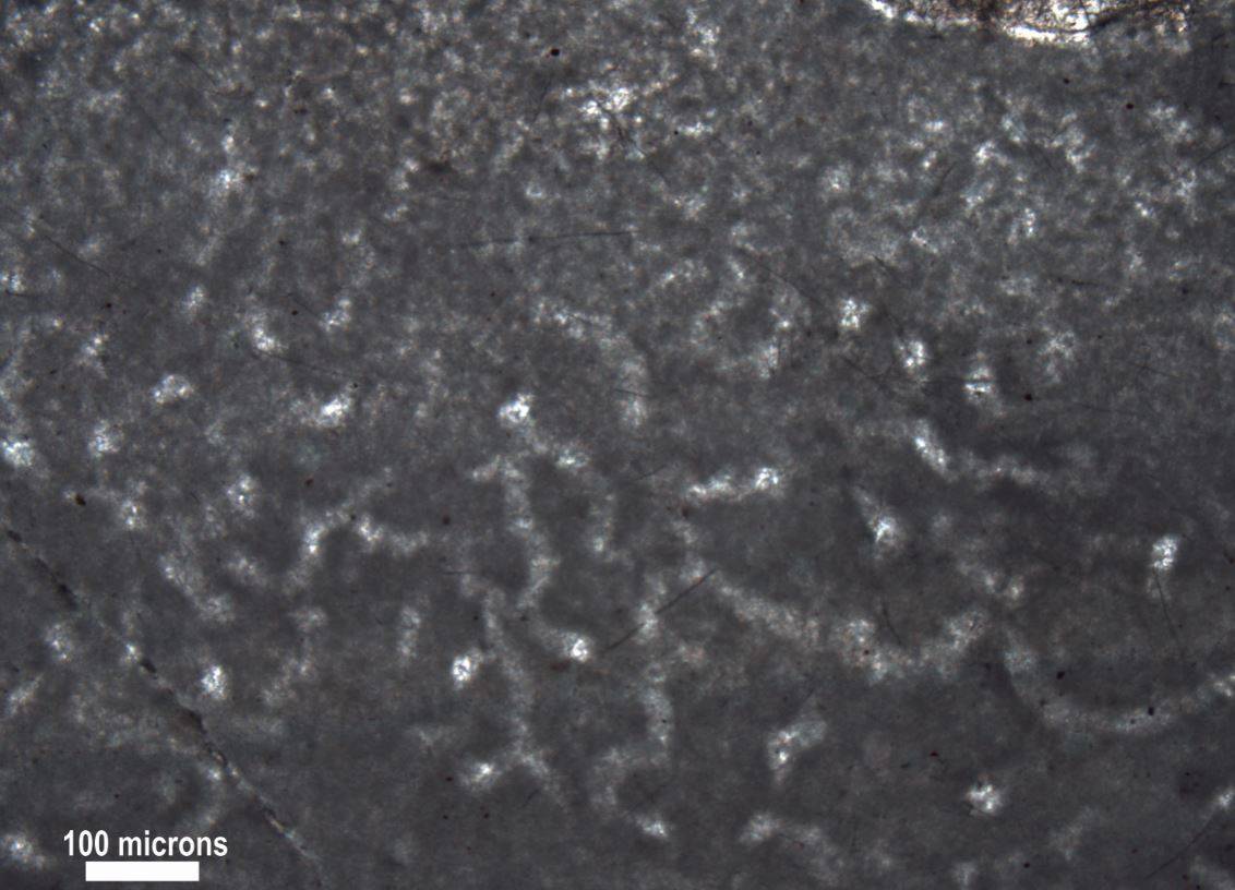 Estructura hallada en antiguos arrecifes de 890 millones de años. Serían las primeras evidencias de vida animal.