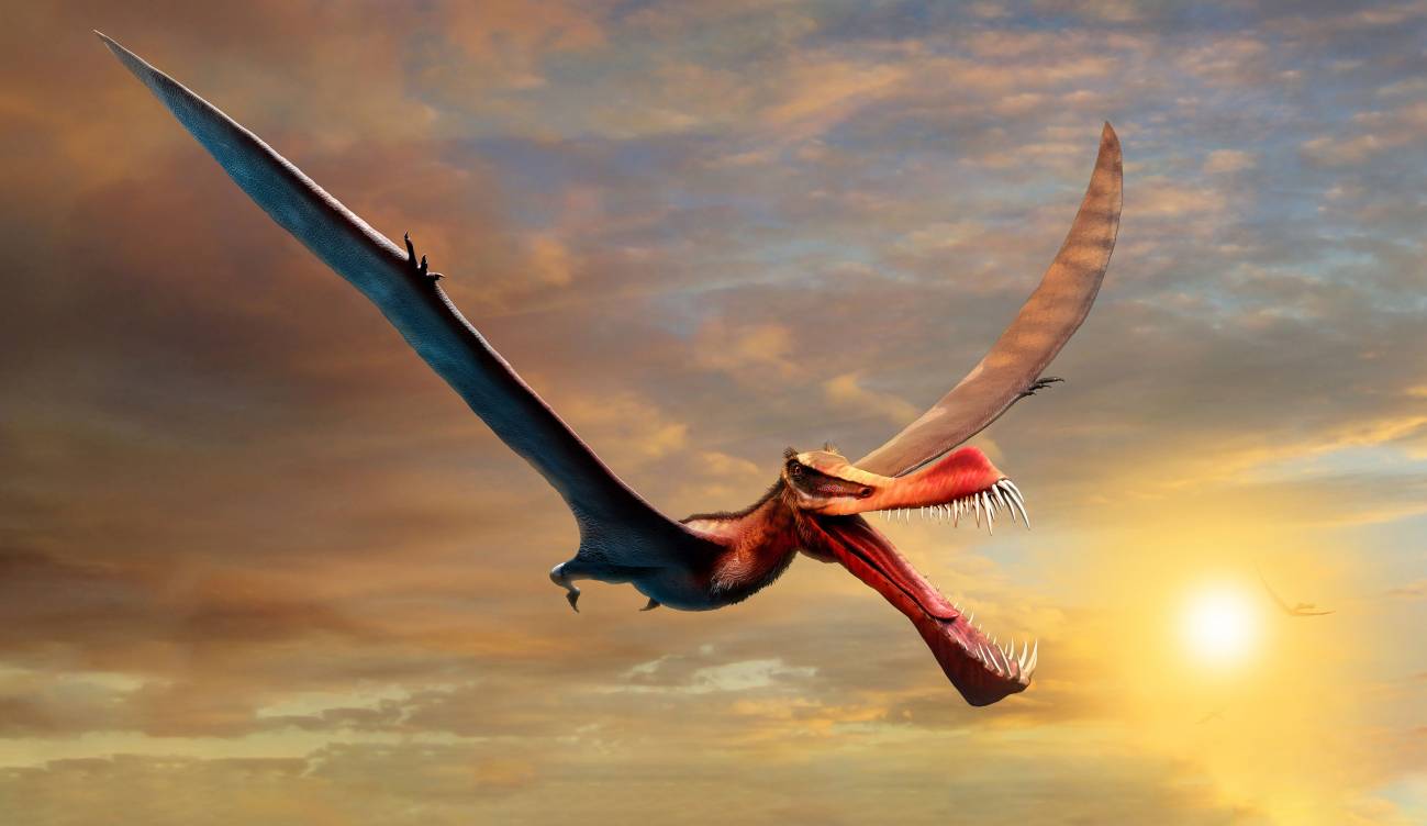 Reproducción artística de Thapunngaka shawi, el aterrador dragón que vivió en Australia. Imagen: Sinc.