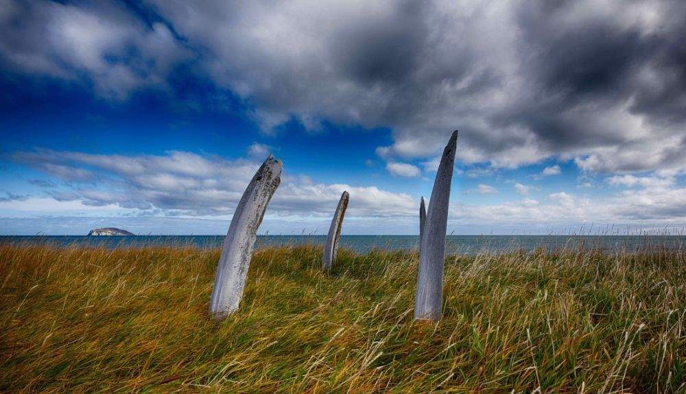 Hasta mediados del siglo XX, los esquimales vivían en la Isla de Yttigan.