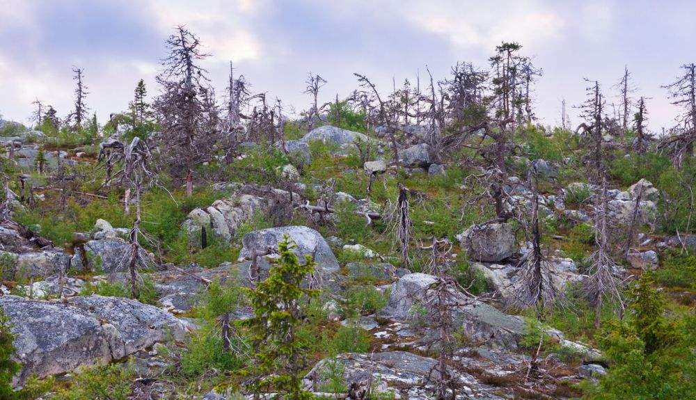 La Montaña Vottovaara también es conocida como la  montaña de la Muerte.