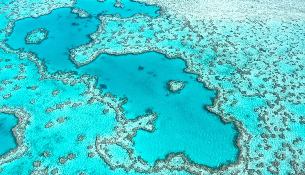 Vista aérea de la Gran Barrera de Coral en Whitsunday's Queensland Australia. Las barreas de coral son sistemas muy complejos. Vista aérea de la Gran Barrera de Coral en Whitsunday's Queensland Australia. Las barreas de coral son sistemas muy complejos.