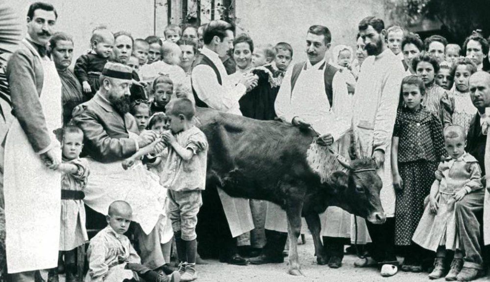 Inoculación de pus de vaca en el Hospital de Niños Pobres de Barcelona, hacia 1890. / CC Ayuntamiento de Barcelona