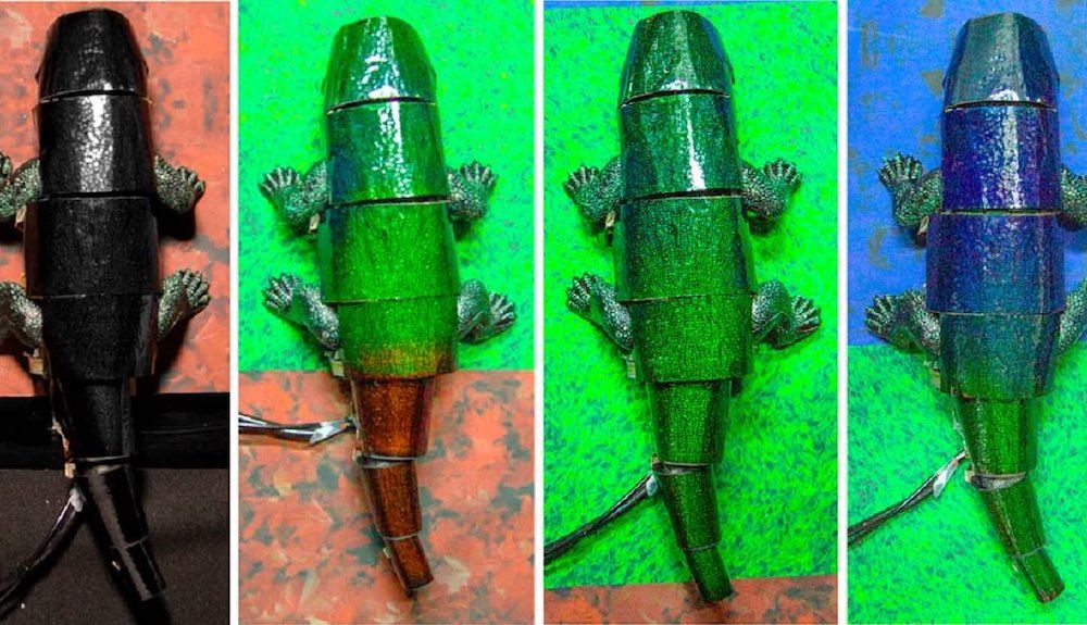 Demostración de la nueva tecnología de camuflaje artificial en el robot camaleón. De izquierda a derecha, el dispositivo apagado, en una mezcla de verde y rojo, solo verde, y azul con verde. / Seung Hwan Ko