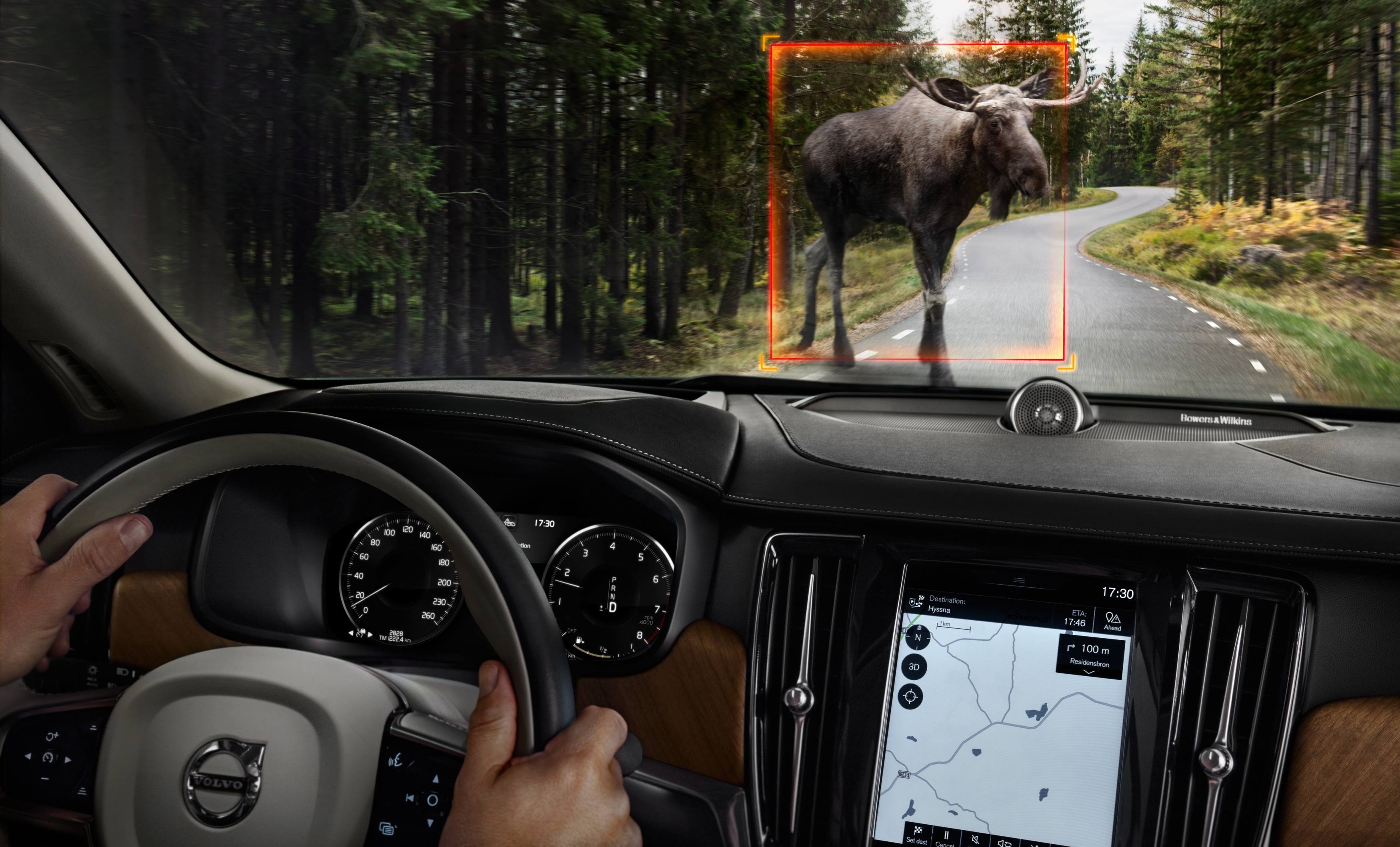 Carglass Interior Large Animal Detection