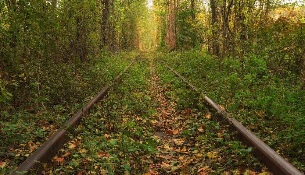Una imagen de las vías del tren que pasan por la región de Rivnenska. Una imagen de las vías del tren que pasan por la región de Rivnenska.