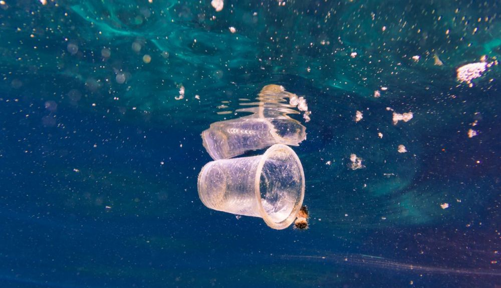 Imagen submarina del problema ambiental de la contaminación plástica en el  océano 