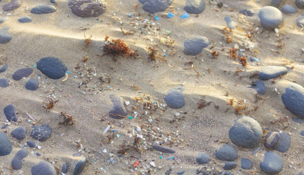 Microplásticos en la arena de una playa. Microplásticos en la arena de una playa.