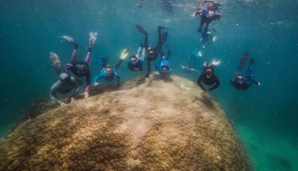 Investigadores de la ONG Reef Ecologic junto con Muga dhambi. Investigadores de la ONG Reef Ecologic junto con Muga dhambi.
