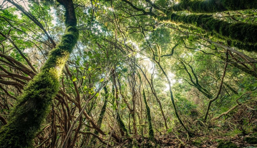 La biosfera no puede adaptarse a un cambio tan dramático en el cambio ambiental, apuntan los expertos. La biosfera no puede adaptarse a un cambio tan dramático en el cambio ambiental, apuntan los expertos.