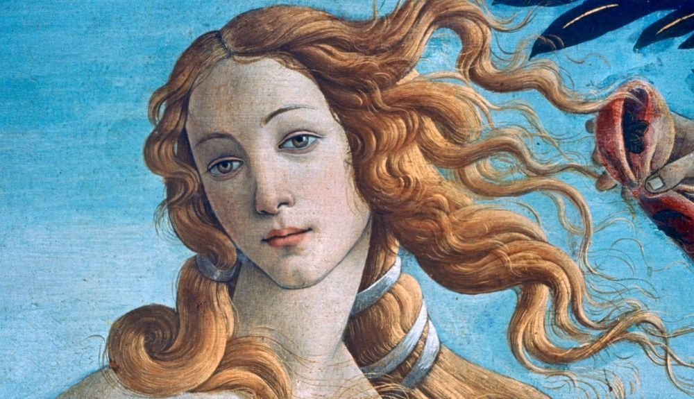 Detalle del cabello y el peinado. Detalle del cabello y el peinado.