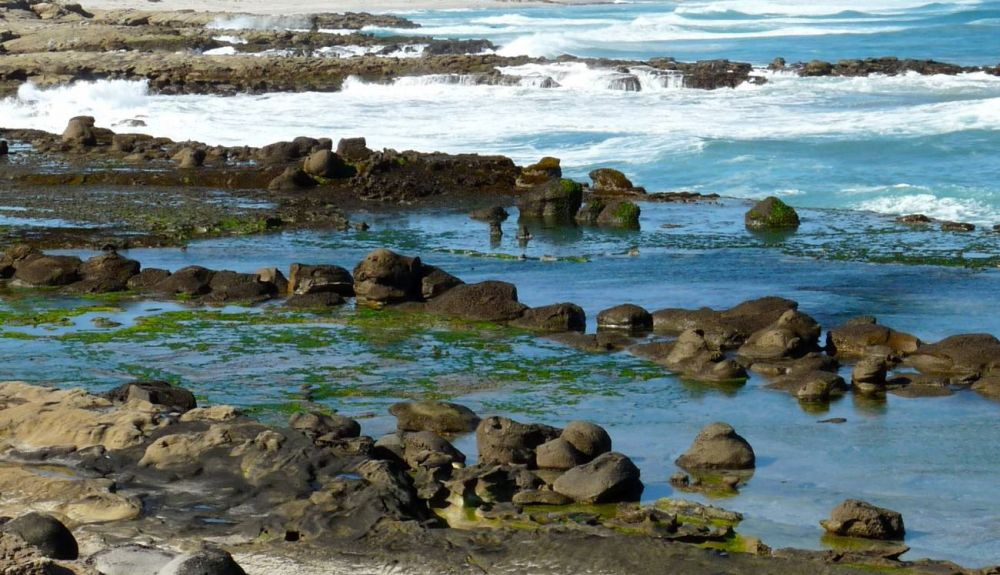 La escarpada costa de la isla de San Nicolás, la más remota de las Islas del Canal de California La escarpada costa de la isla de San Nicolás, la más remota de las Islas del Canal de California