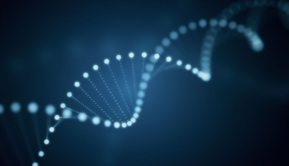 Funciona porque cada patógeno activa un conjunto diferente de genes, variando su producción de ARN o proteína Funciona porque cada patógeno activa un conjunto diferente de genes, variando su producción de ARN o proteína