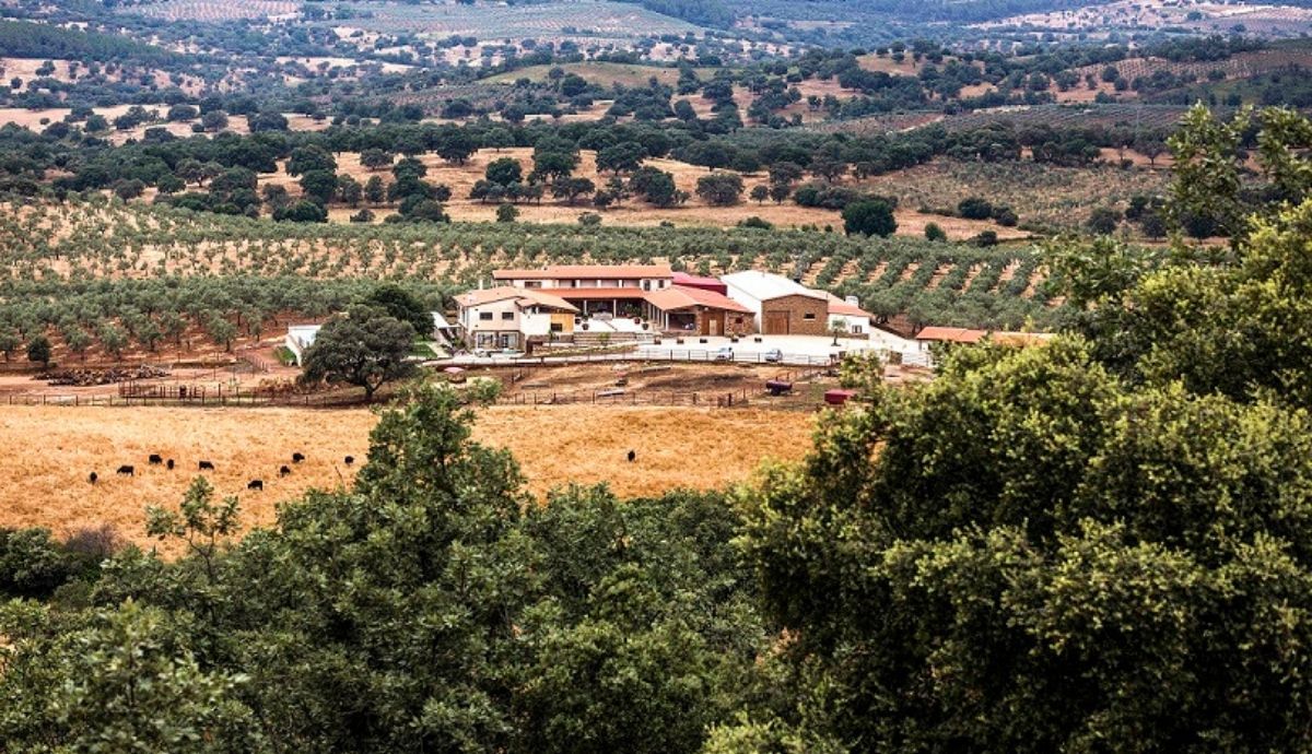 Una vista de Hábitat Cigüeña Negra, un hotel rural espectacular en plena Sierra de Gata en Extremadura.