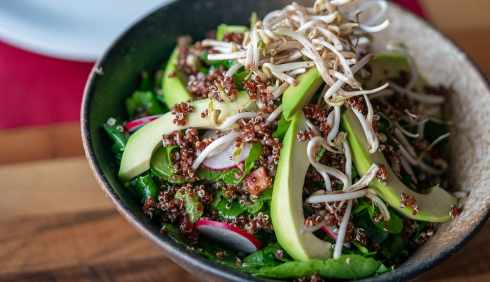 La quinoa tiene más proteínas y un mayor equilibrio de aminoácidos esenciales La quinoa tiene más proteínas y un mayor equilibrio de aminoácidos esenciales