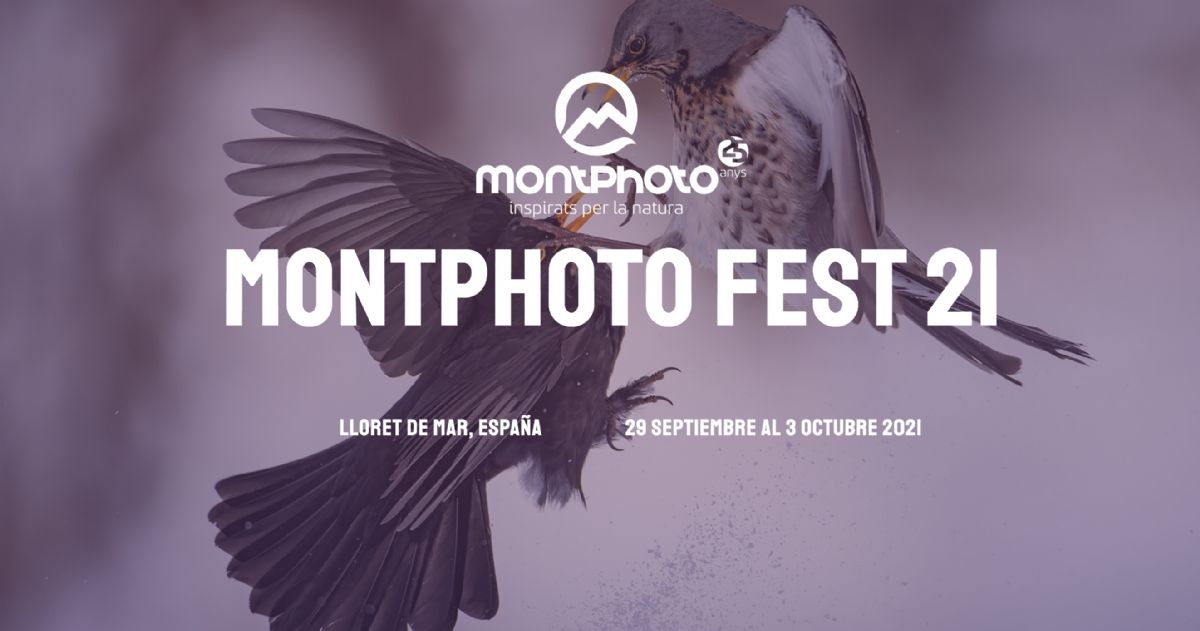 Cartel anunciador de Montphoto Fest 2021. Foto: Montphoto.
