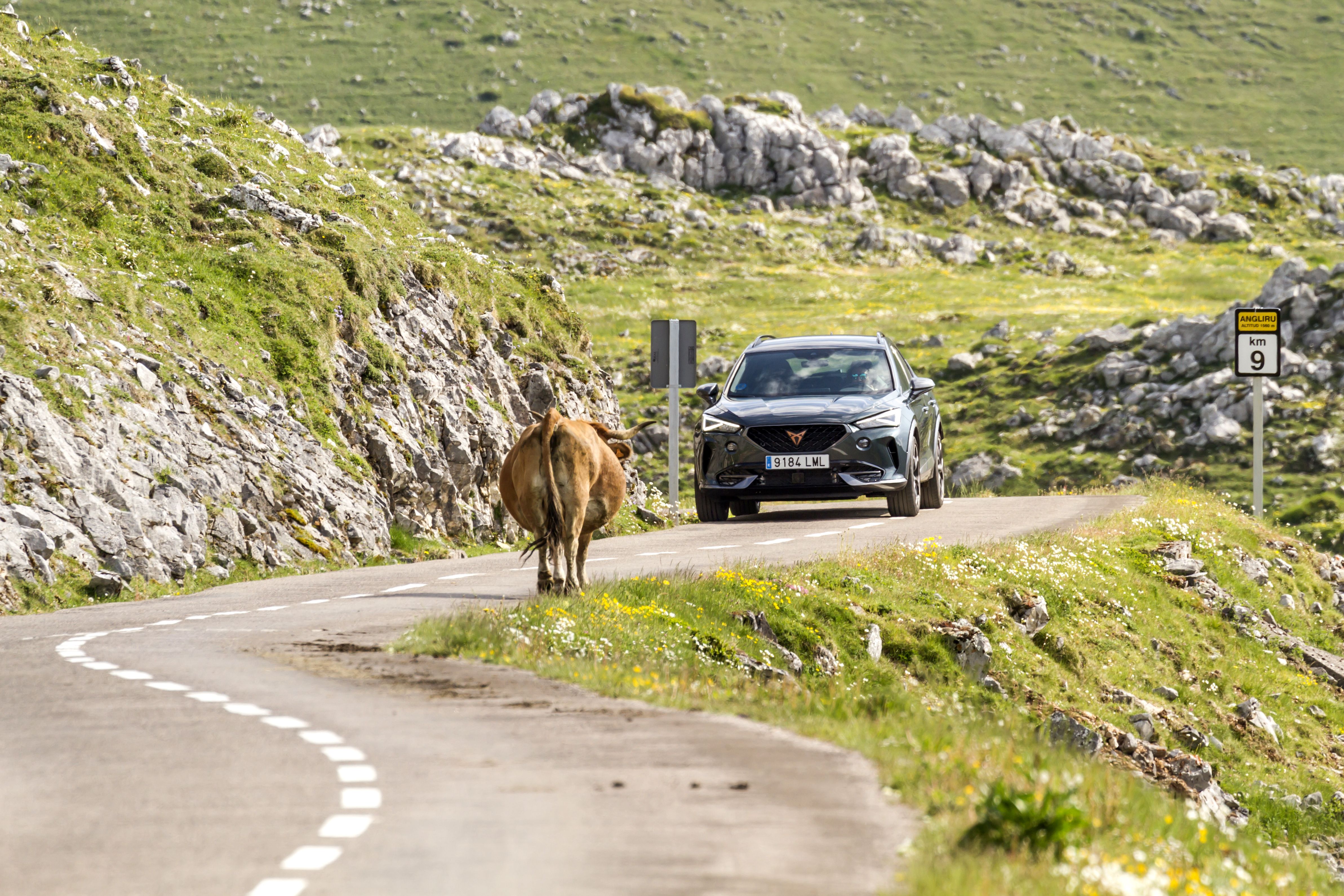 Cupra Formentor e-Hybrid