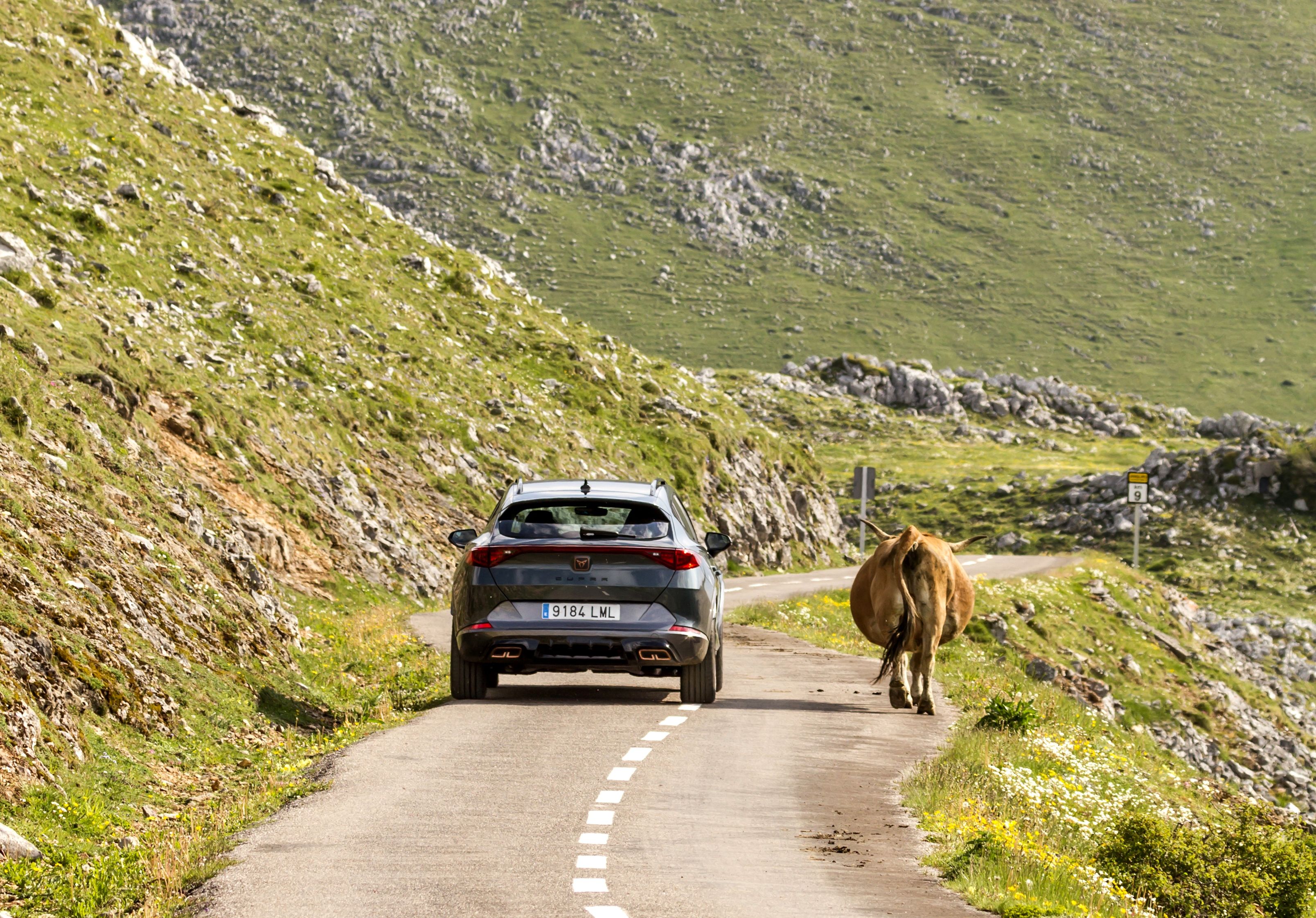 Cupra Formentor e-Hybrid