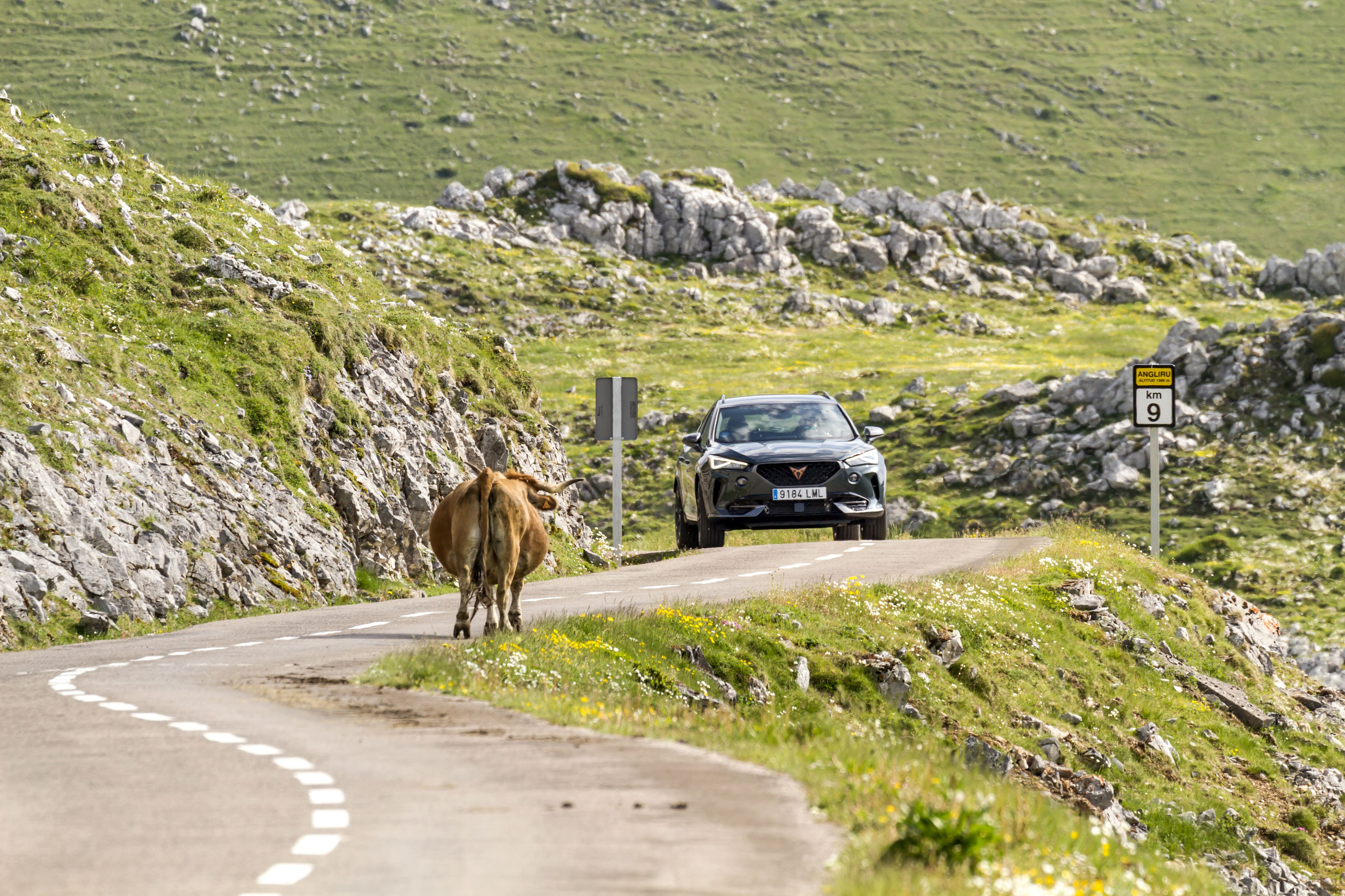 Cupra Formentor e-Hybrid