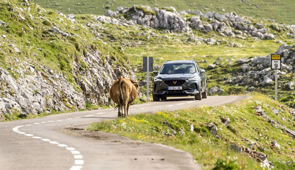 Cupra Formentor e-Hybrid Cupra Formentor e-Hybrid