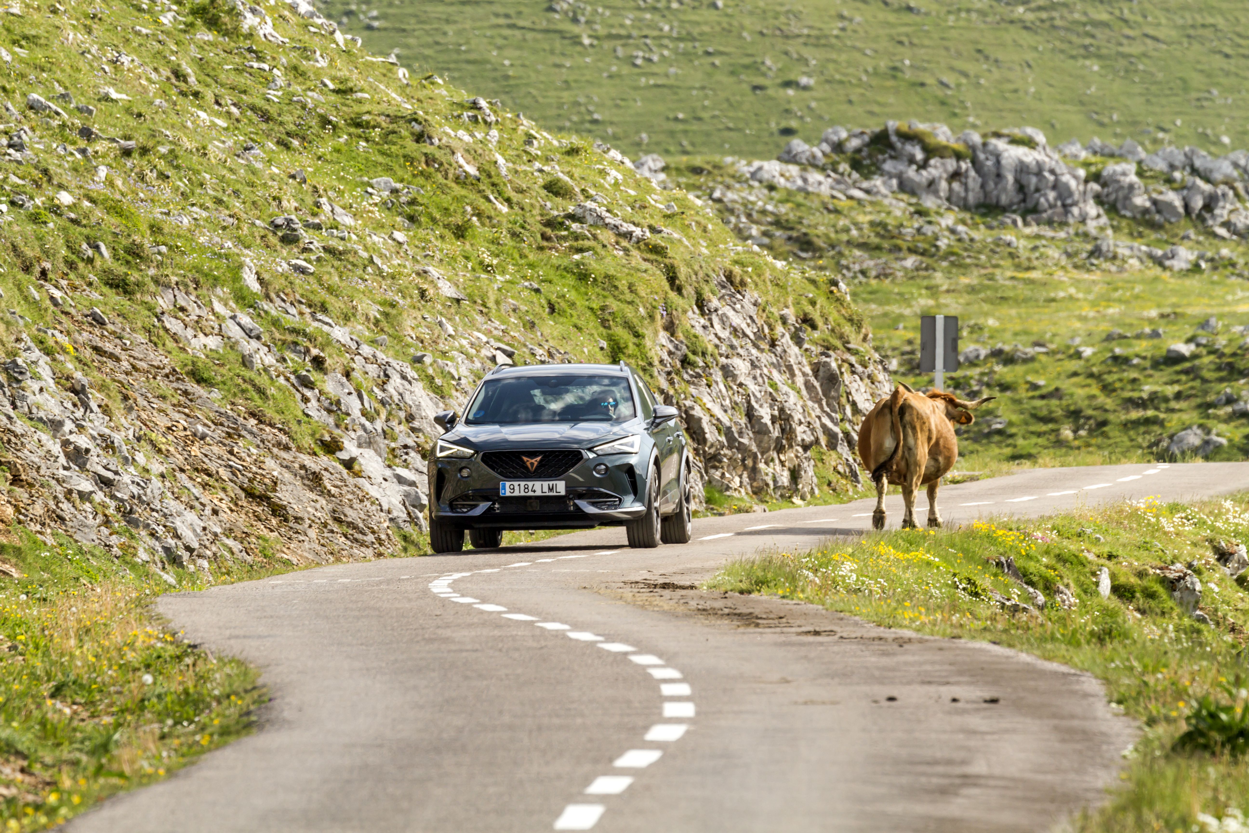 Cupra Formentor e-Hybrid