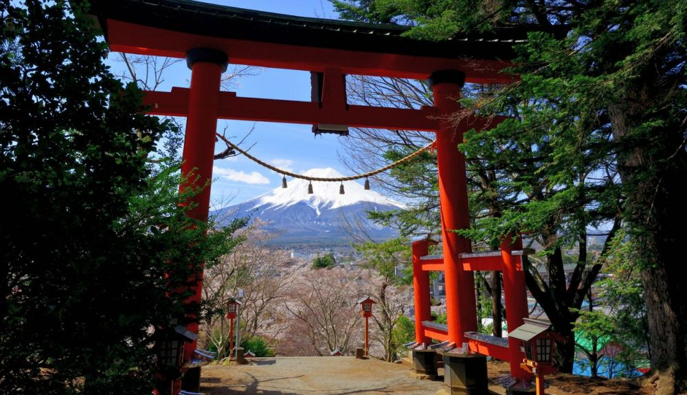 Puerta Torii del santuario Arakura Fuji Sengen durante la temporada de los cerezos en flor de abril. Puerta Torii del santuario Arakura Fuji Sengen durante la temporada de los cerezos en flor de abril.