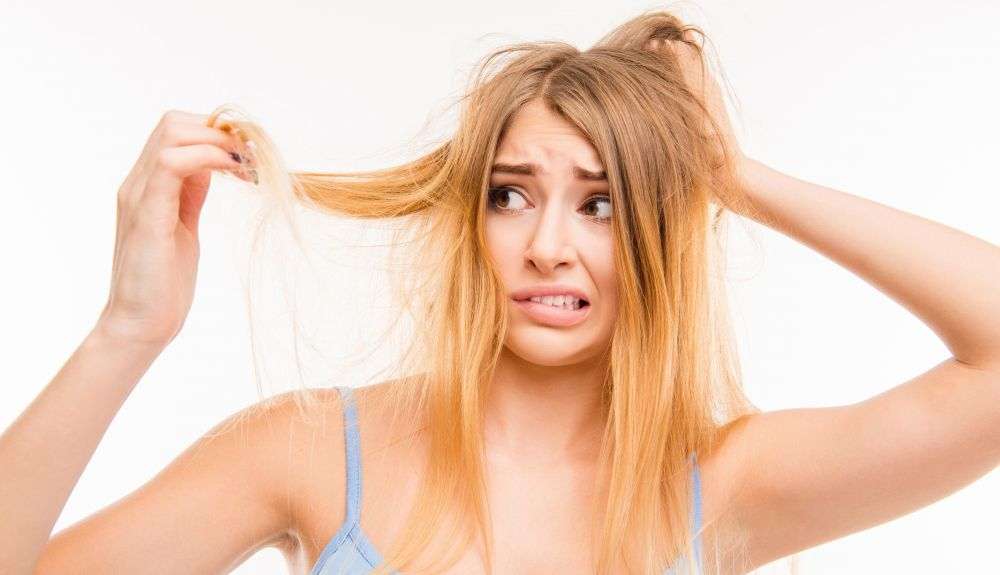 Esta estación del año es la que más temen quienes tienen miedo de perder su cabello. Esta estación del año es la que más temen quienes tienen miedo de perder su cabello.