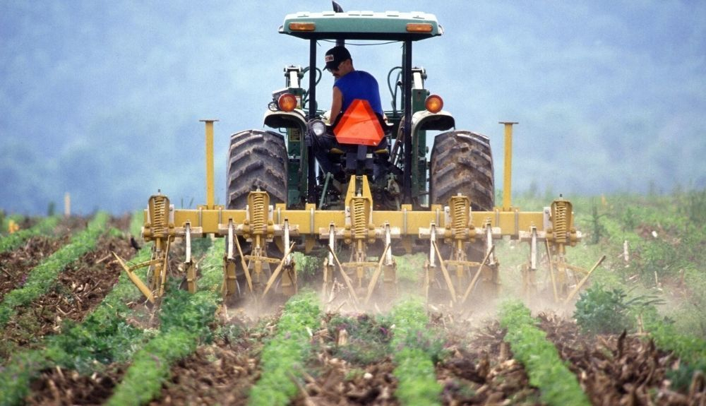 Acuerdos entre agricultores y compradores pueden contribuir a reducir este desperdicio Acuerdos entre agricultores y compradores pueden contribuir a reducir este desperdicio