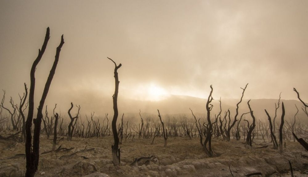 El atlas interactivo ofrecerá información sobre el cambio climático en diferentes zonas del planeta. El atlas interactivo ofrecerá información sobre el cambio climático en diferentes zonas del planeta.