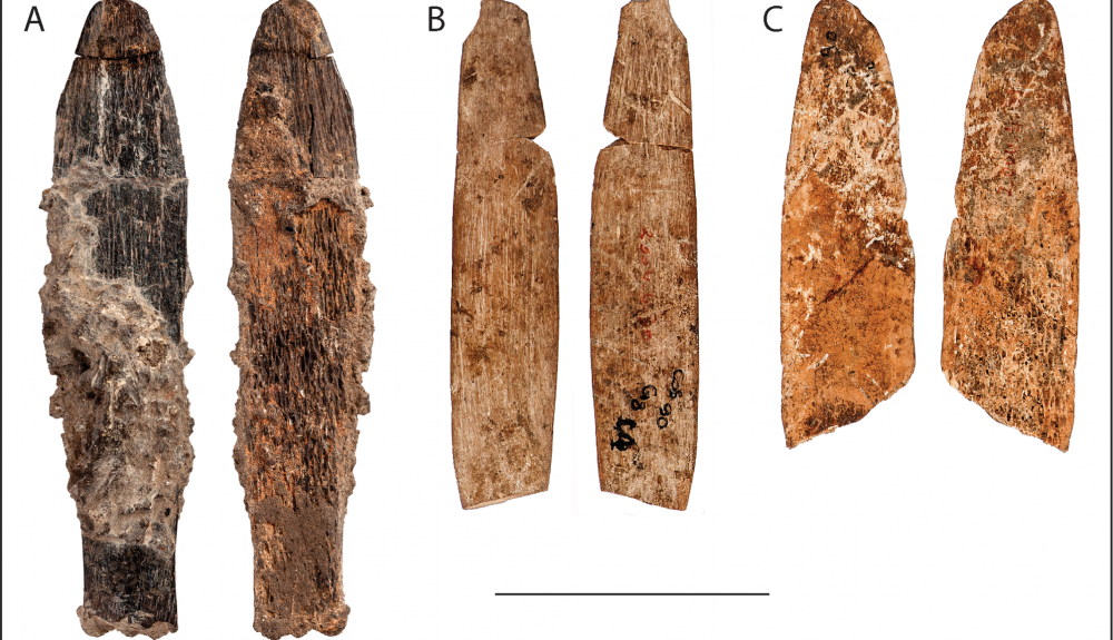 Tecnología ósea especializada de 90.000 años de antigüedad en la Edad de Piedra Media Ateriana del norte de África Tecnología ósea especializada de 90.000 años de antigüedad en la Edad de Piedra Media Ateriana del norte de África