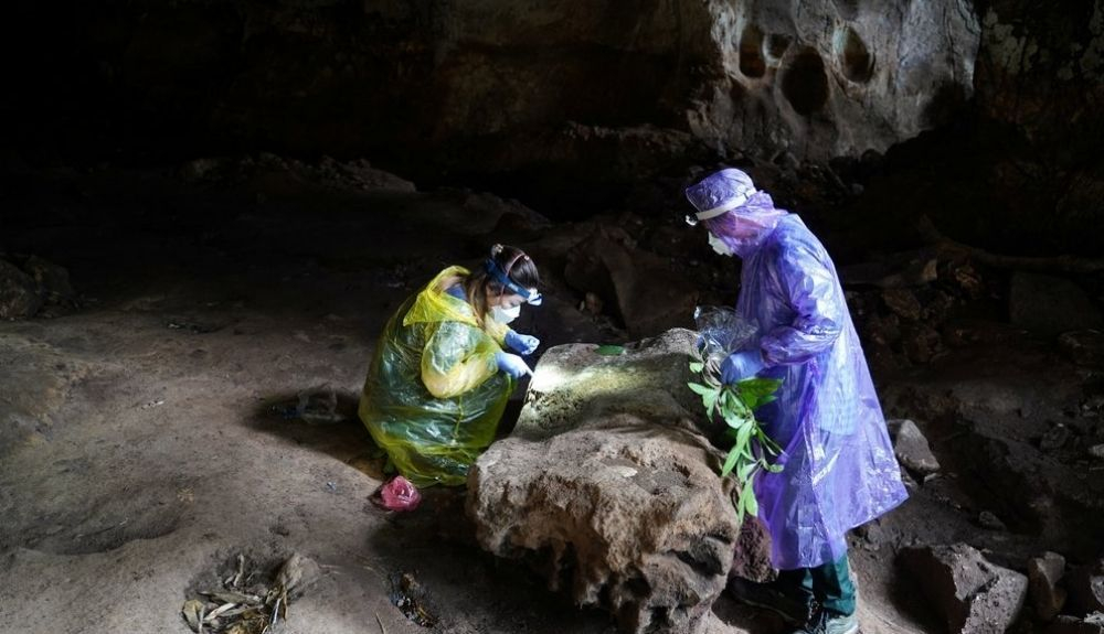 Investigadores del Institut Pasteur du Cambodge recolectan heces de murciélago de una cueva en Camboya Investigadores del Institut Pasteur du Cambodge recolectan heces de murciélago de una cueva en Camboya