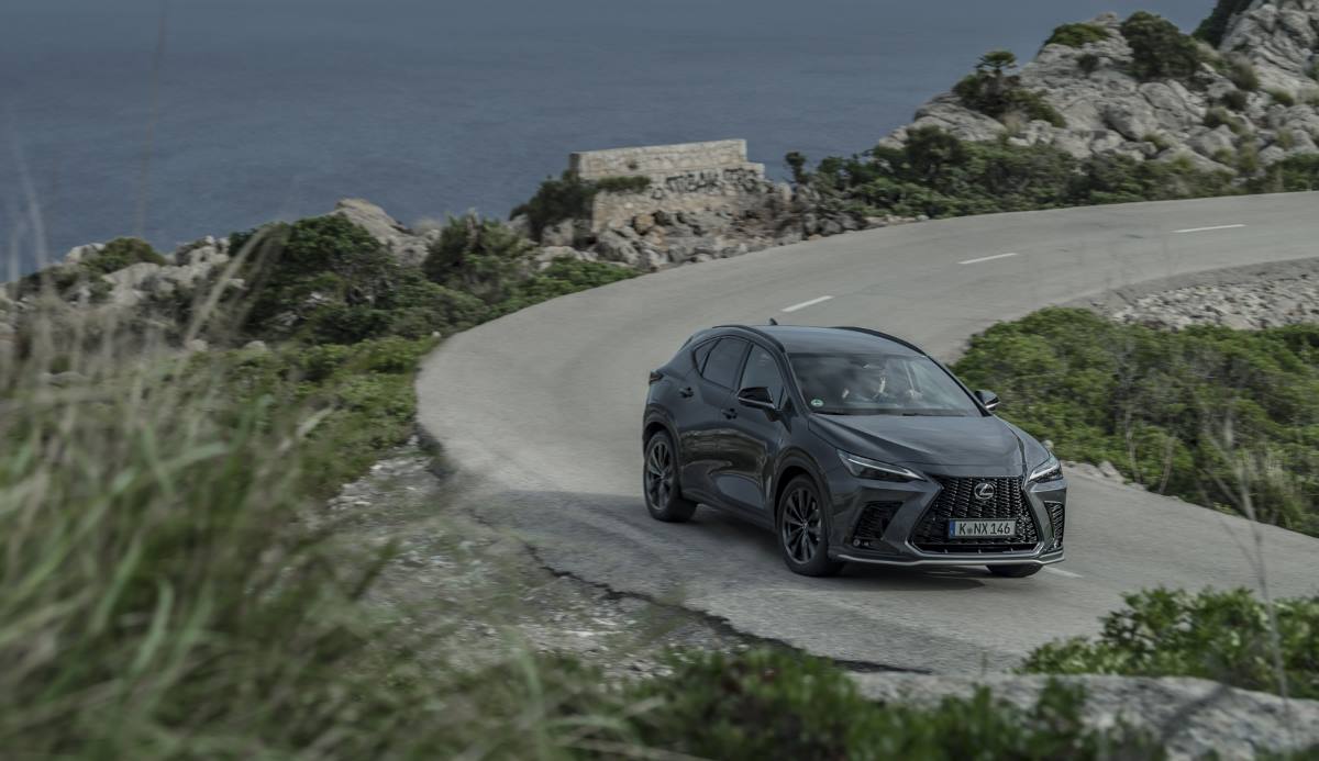 Lexus NX 2021 13
