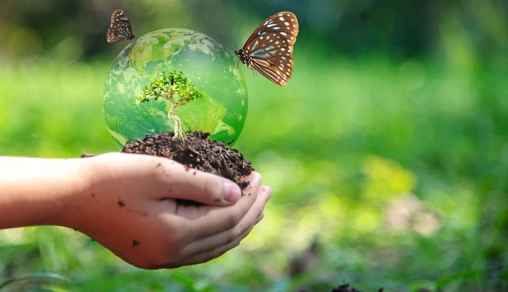 Hay que tomar medidas si todavía queremos vivir en este planeta en el futuro. Hay que tomar medidas si todavía queremos vivir en este planeta en el futuro.